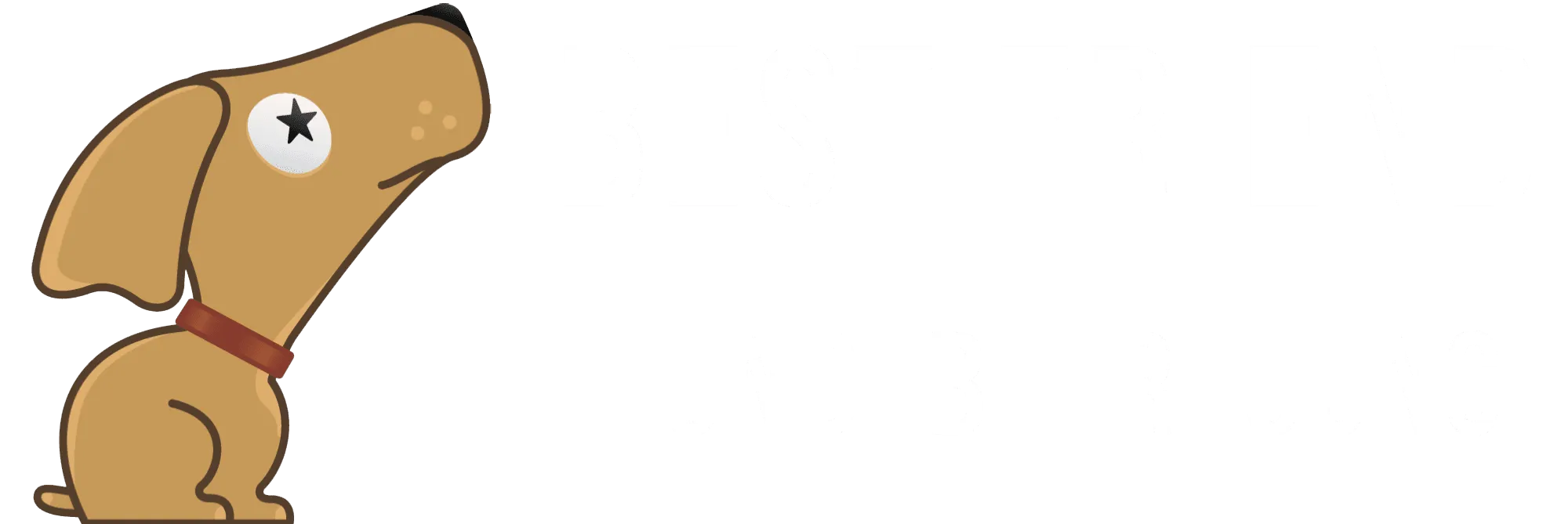 Hundebetreuung - Best Friend